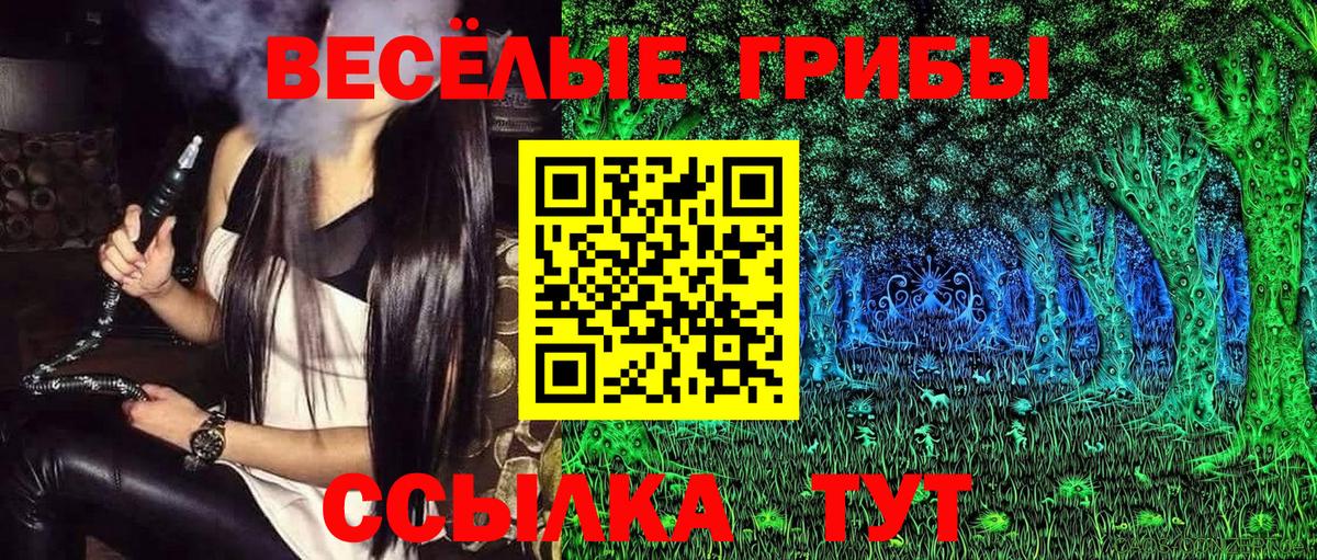 Псилоцибиновые грибы ЛСД  Вход с VPN  Балашов 